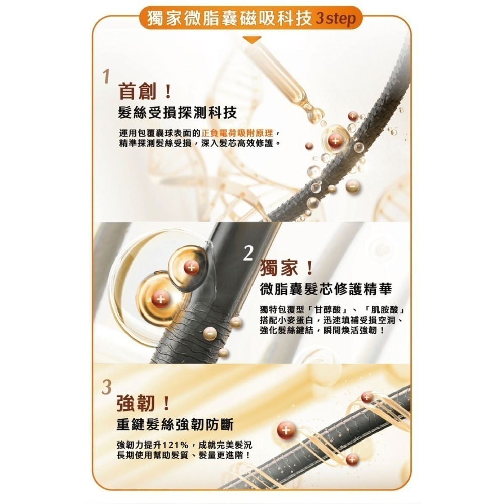 【FORTE】Magnetic S1蓬鬆/S2柔順/S3深層淨化洗髮精500g 任選1入/2入/3入-細節圖8