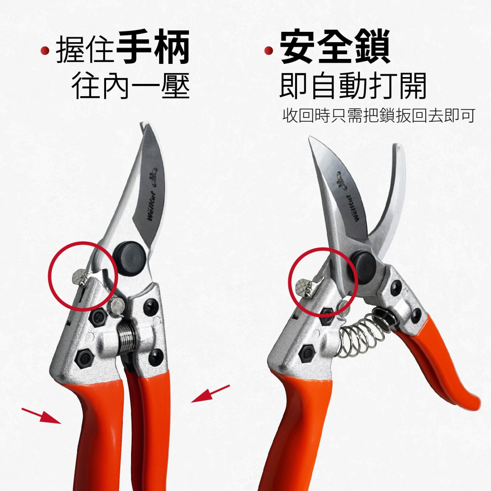AXL 專業修枝剪 彎刀設計｜鋁合金輕量園藝剪刀｜省力樹剪/果樹剪刀/樹枝修剪工具 左撇友好 輕鬆使用 (台灣製造)-細節圖4