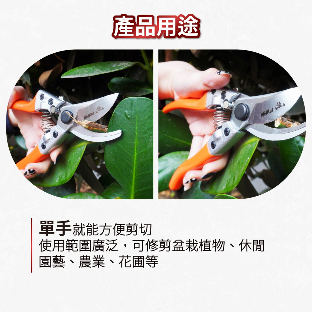 AXL 專業修枝剪 彎刀設計｜鋁合金輕量園藝剪刀｜省力樹剪/果樹剪刀/樹枝修剪工具 左撇友好 輕鬆使用 (台灣製造)-細節圖5