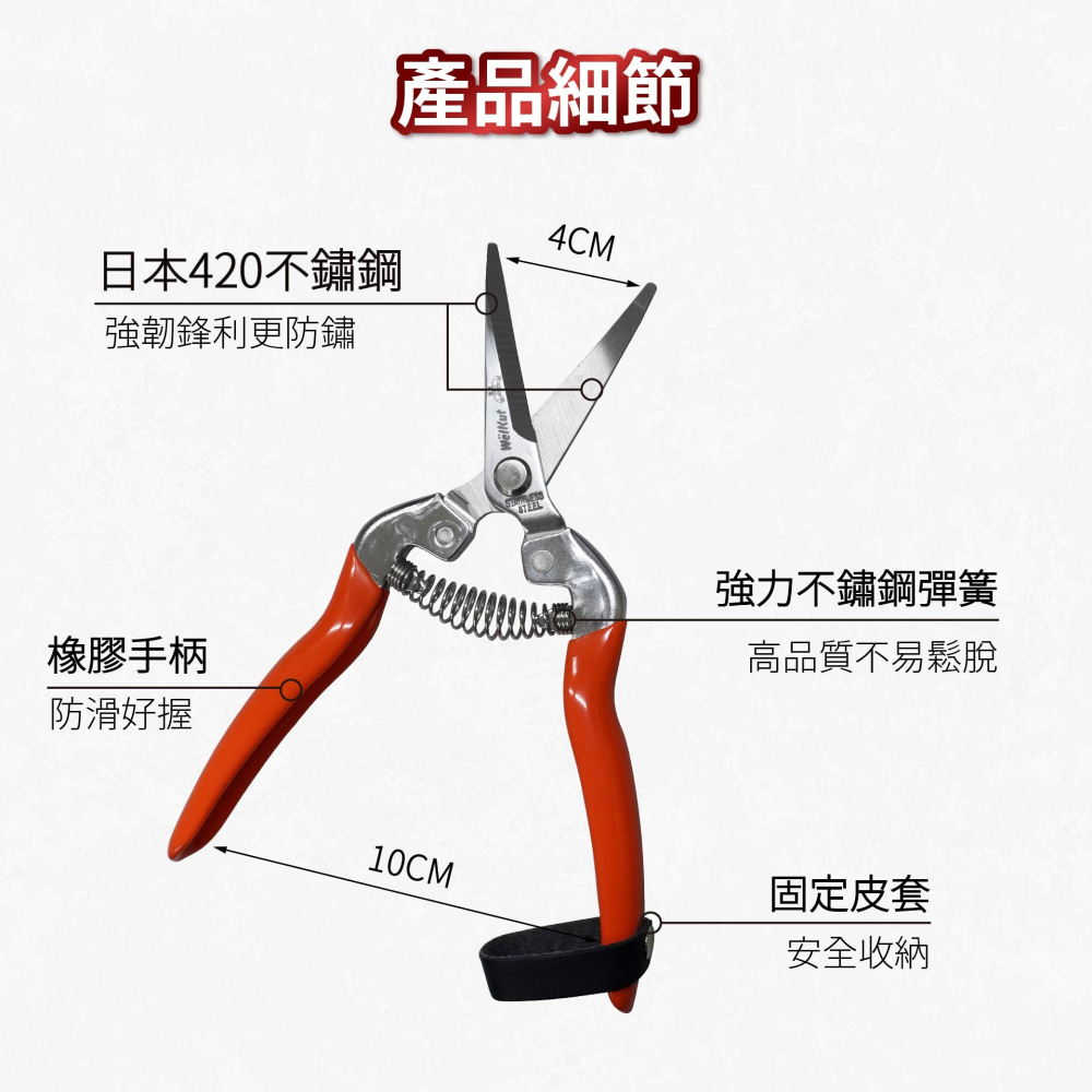 AXL 園藝專業修枝剪 花木剪 農用剪刀 安全輕量省力不鏽鋼芽切剪｜修枝/芽枝/盆栽專用 |長刃翹頭設計 (台灣製造)-細節圖3