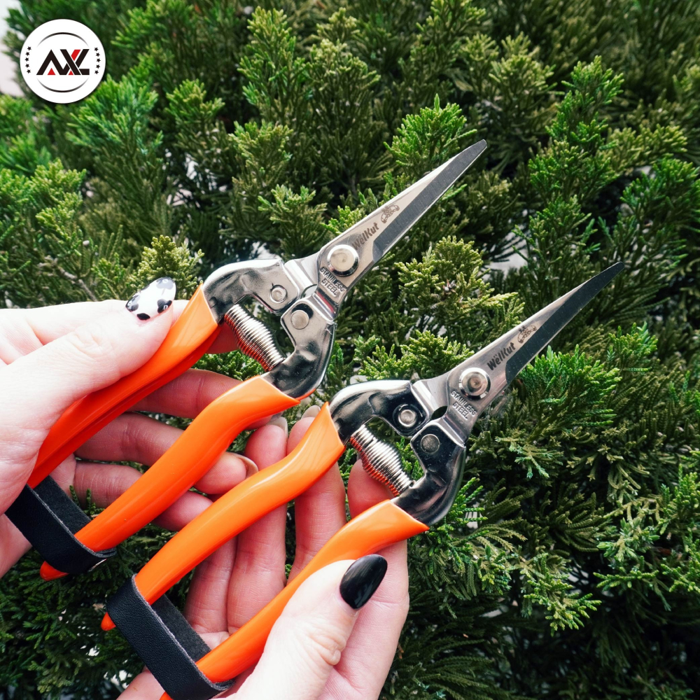 AXL 園藝專業修枝剪 花木剪 農用剪刀 安全輕量省力不鏽鋼芽切剪｜修枝/芽枝/盆栽專用 |長刃翹頭設計 (台灣製造)-細節圖7