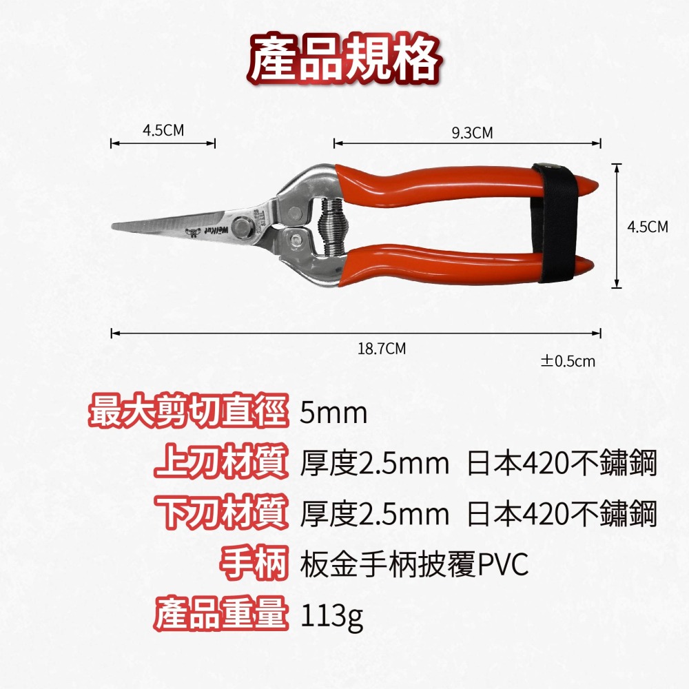 台灣製園藝剪刀 長刃芽切剪 花藝修枝剪 不鏽鋼蔬果採收剪刀 盆栽剪枝剪 園藝工具 省力防滑 翹頭剪刀 AXL購物-細節圖2