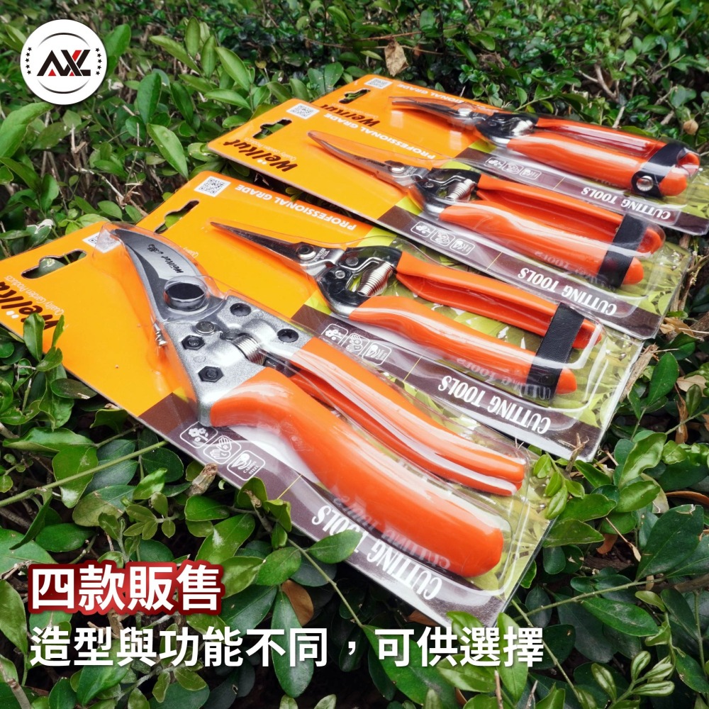 台灣製園藝剪刀 長刃芽切剪 花藝修枝剪 不鏽鋼蔬果採收剪刀 盆栽剪枝剪 園藝工具 省力防滑 翹頭剪刀 AXL購物-細節圖5