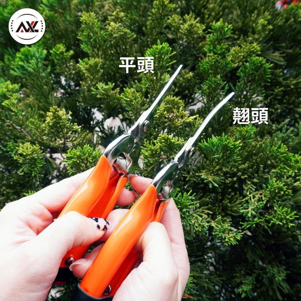 台灣製園藝剪刀 長刃芽切剪 花藝修枝剪 不鏽鋼蔬果採收剪刀 盆栽剪枝剪 園藝工具 省力防滑 翹頭剪刀 AXL購物-細節圖6