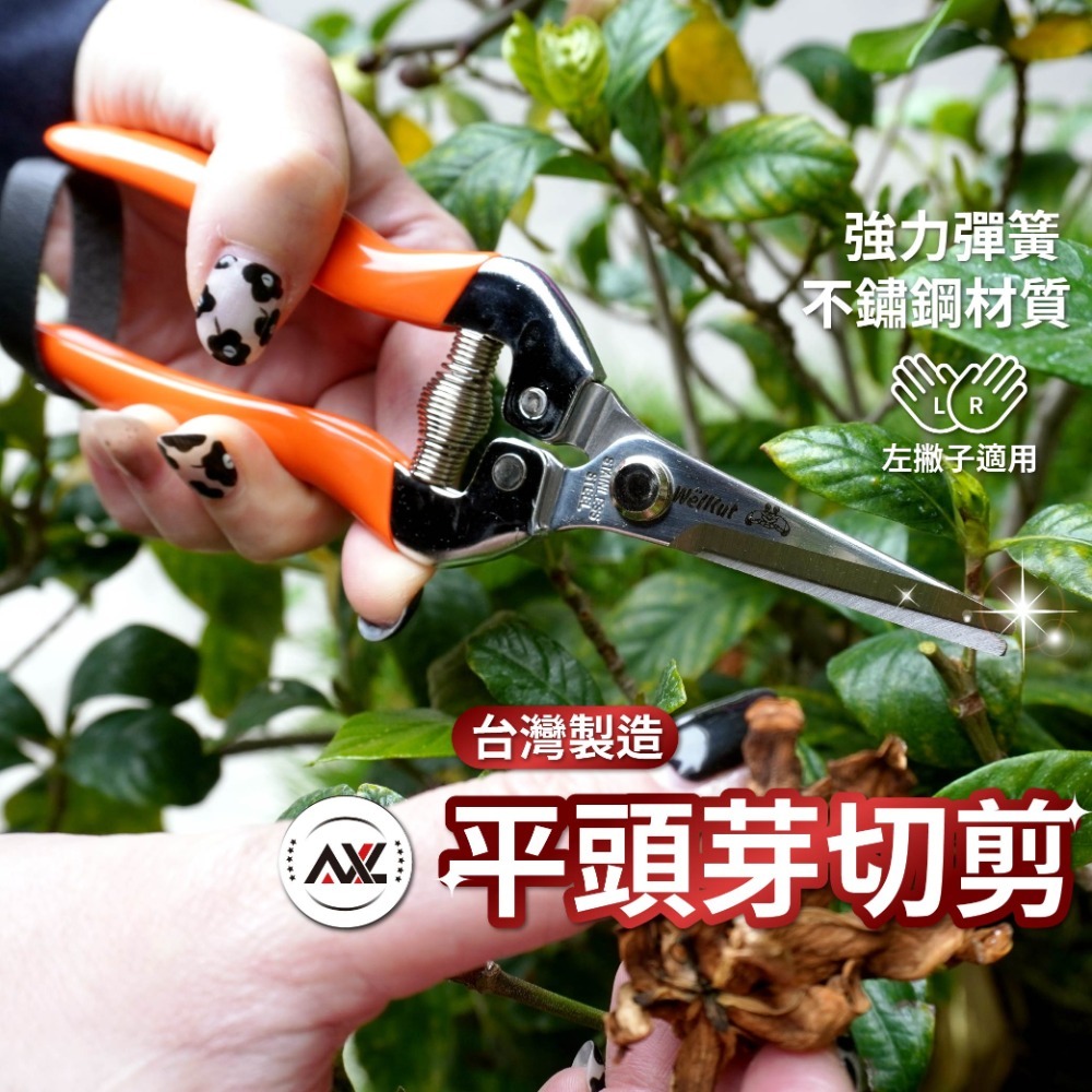 台灣製園藝剪刀 長刃芽切剪 花藝修枝剪 不鏽鋼蔬果採收剪刀 盆栽剪枝剪 園藝工具 省力防滑 翹頭剪刀 AXL購物-規格圖7
