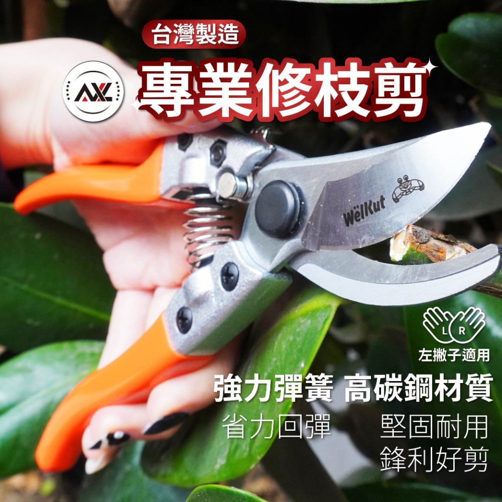 AXL 園藝專業修枝剪 花木剪 農用剪刀 安全輕量省力不鏽鋼芽切剪｜修枝/芽枝/盆栽專用 |長刃翹頭設計 (台灣製造)-規格圖7