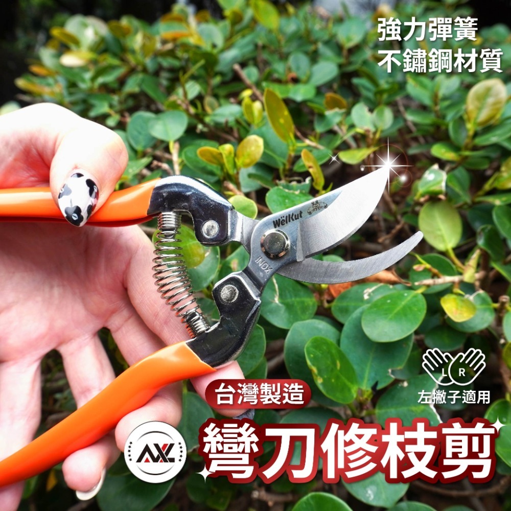 台灣製園藝剪刀 長刃芽切剪 花藝修枝剪 不鏽鋼蔬果採收剪刀 盆栽剪枝剪 園藝工具 省力防滑 翹頭剪刀 AXL購物-規格圖7