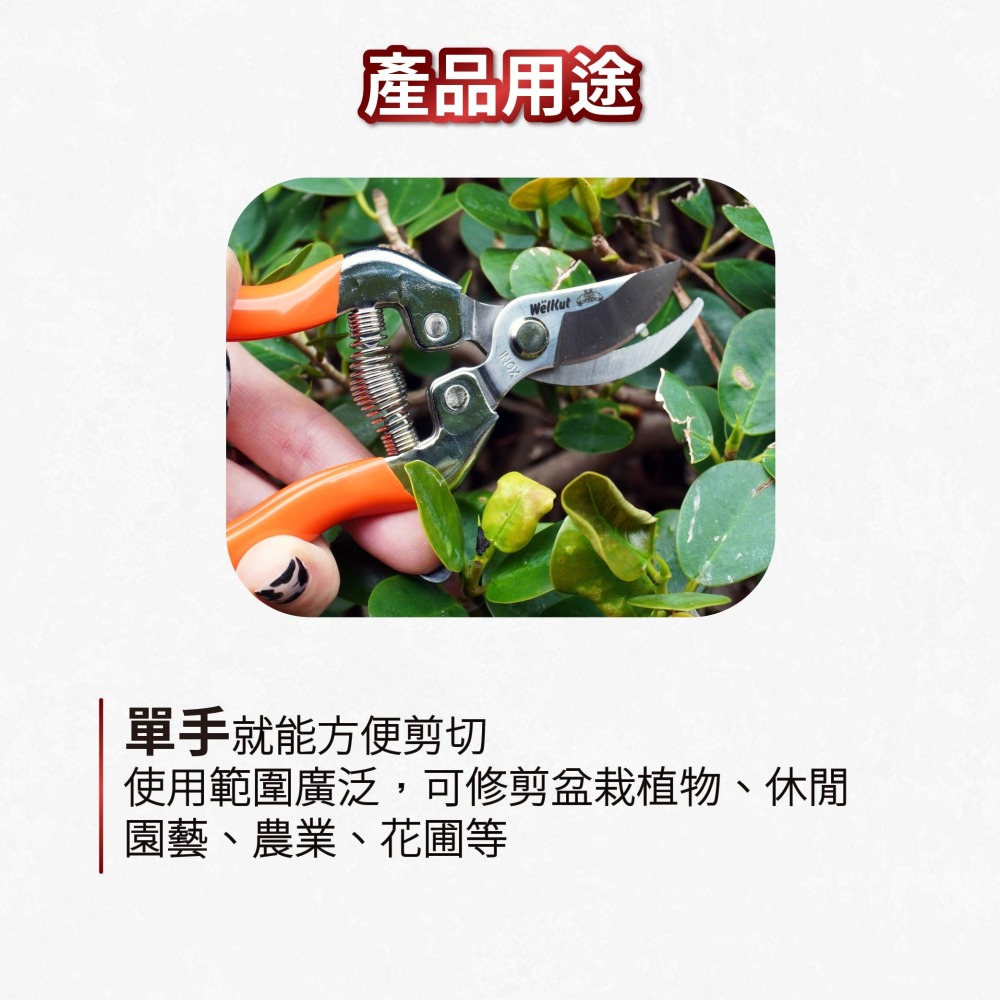 AXL台灣製修枝剪 圓口修枝剪 樹枝剪 剪定鋏 花剪 園藝剪刀 粗枝剪 採果剪 不鏽鋼省力修剪工具 果樹盆栽適用-細節圖4