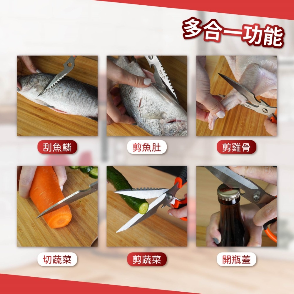現貨 AXL 多功能日本420不鏽鋼料理剪刀 可拆洗廚房剪 去骨剪 刮鱗器 開瓶器  附磨刀石 中秋節烤肉神器-細節圖3