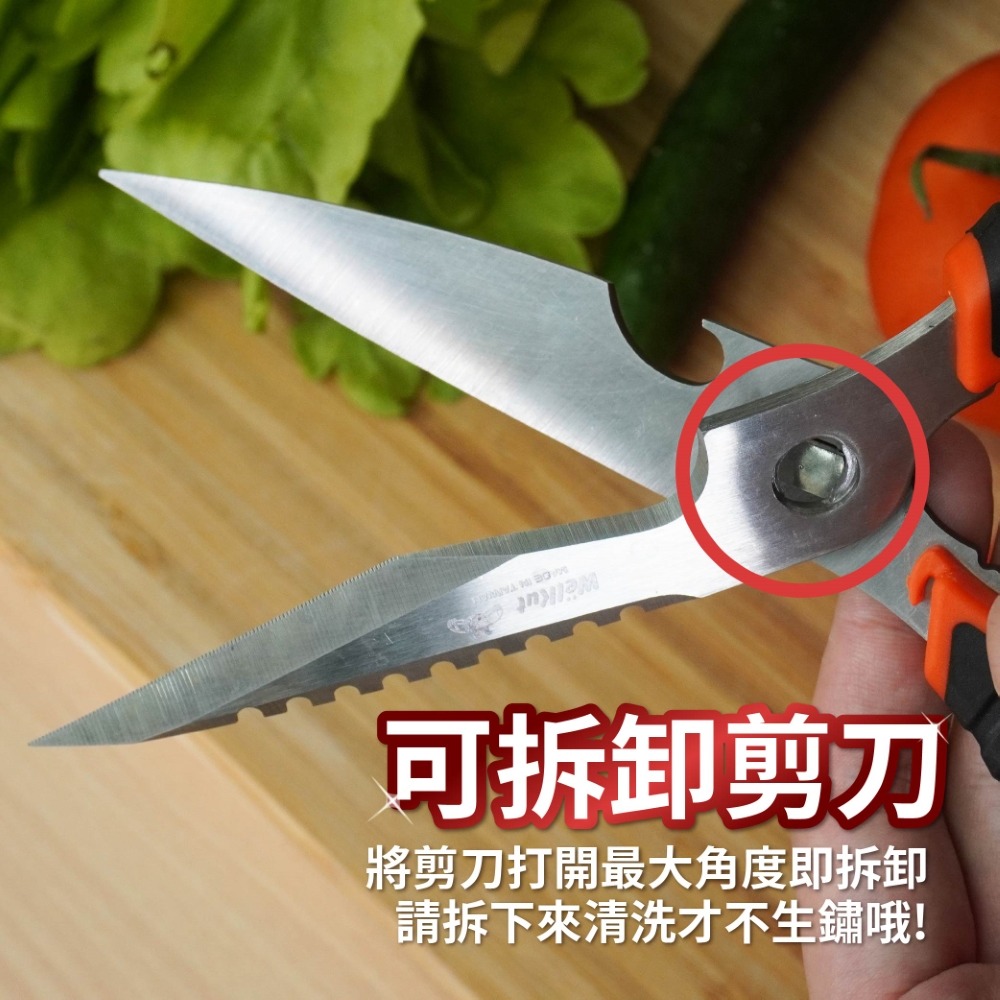 現貨 AXL 多功能日本420不鏽鋼料理剪刀 可拆洗廚房剪 去骨剪 刮鱗器 開瓶器  附磨刀石 中秋節烤肉神器-細節圖4