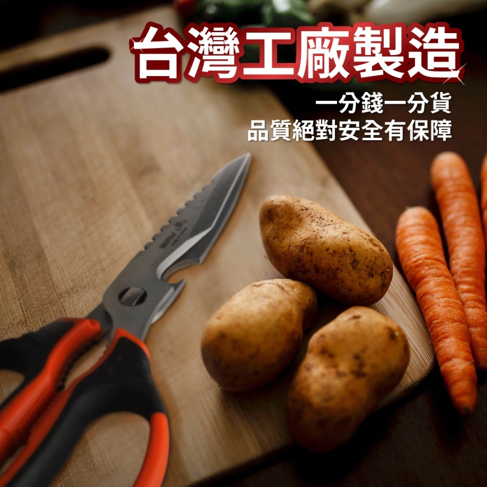 現貨 AXL 多功能日本420不鏽鋼料理剪刀 可拆洗廚房剪 去骨剪 刮鱗器 開瓶器  附磨刀石 中秋節烤肉神器-細節圖7
