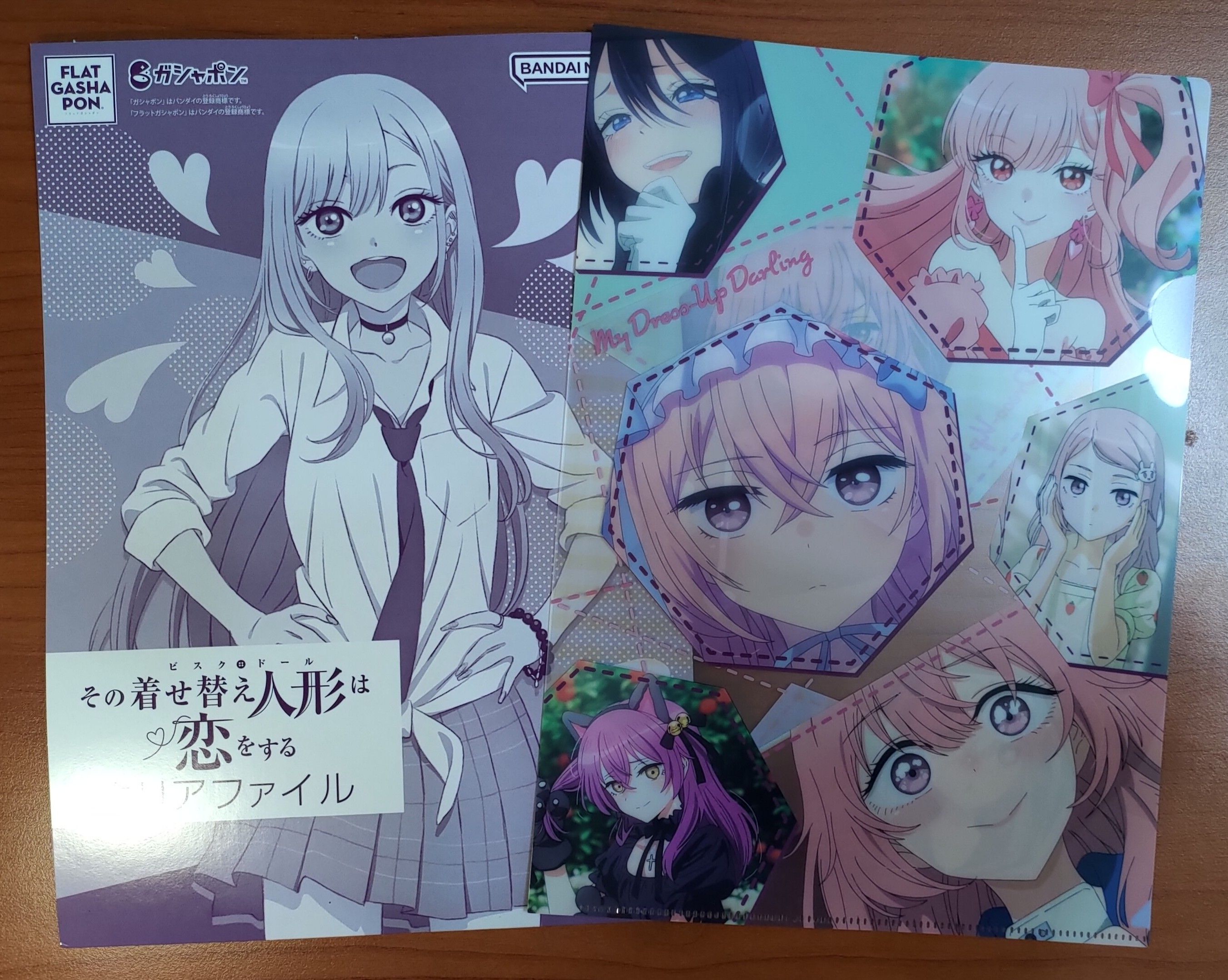 ［官方周邊］戀上換裝娃娃/A4資料夾/海夢新菜/朱朱大人-細節圖2