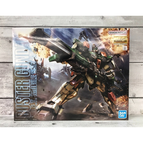 《HT》BANDAI 模型 MG 1/100 鋼彈 SEED 暴風鋼彈 5062906