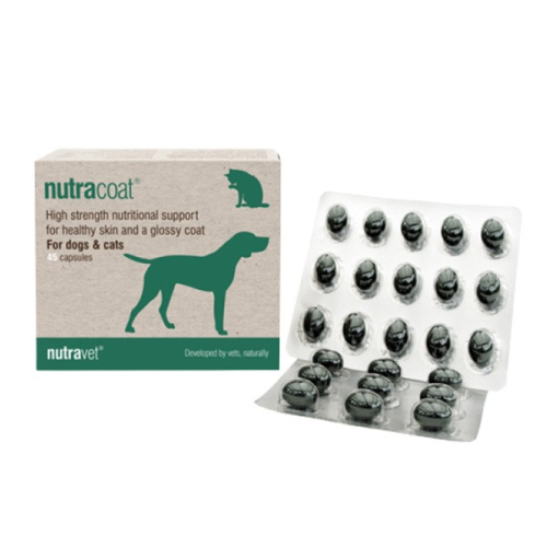 樂寵 膚益康 Nutracoat 90顆裝/膠囊 犬貓專用