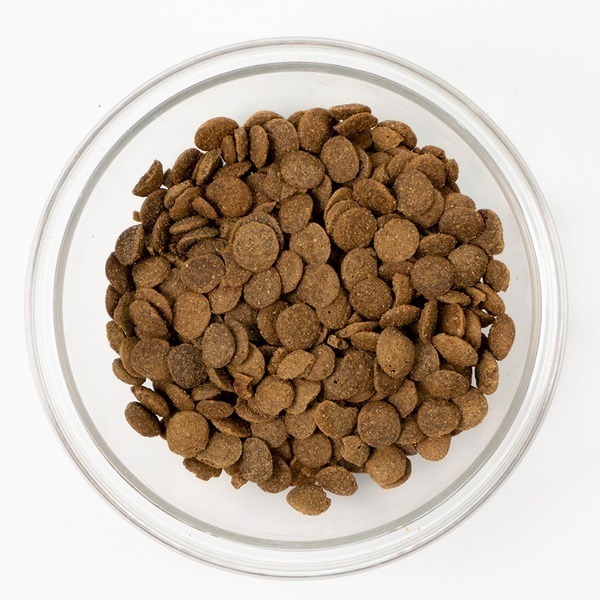 🐶GuoShi寵物🐱 本牧 狗飼料 犬糧 本牧飼料 紐西蘭無穀 犬飼料 無穀成犬糧 earthmade-細節圖5