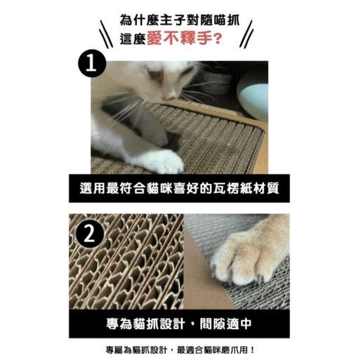 🐶GuoShi寵物🐱 貓樂園 貓抓板 隨喵抓 ParkCat  貓紓壓 不易掉屑 機能性貓抓板 貓咪用品 貓玩具-細節圖6