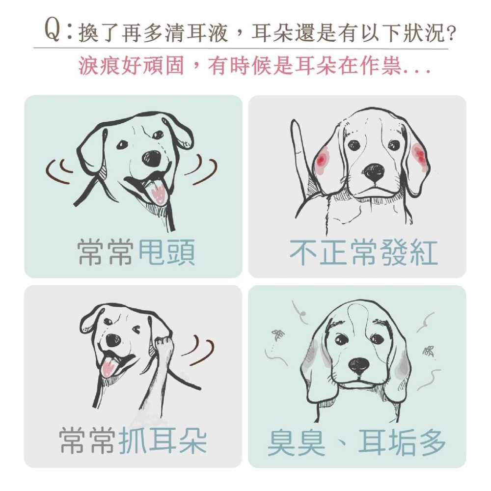 🐶GuoShi寵物🐱 歸毛家族 萌耳靈 萌耳液 萌耳保衛組 寵物耳朵護理-細節圖2