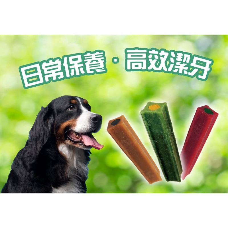 🐶GuoShi寵物🐱 AStar 夾心耐咬棒 a star 機能耐咬棒 潔牙骨 潔牙棒 花生 牛奶薑黃 鮭魚蔓越蔓-細節圖4