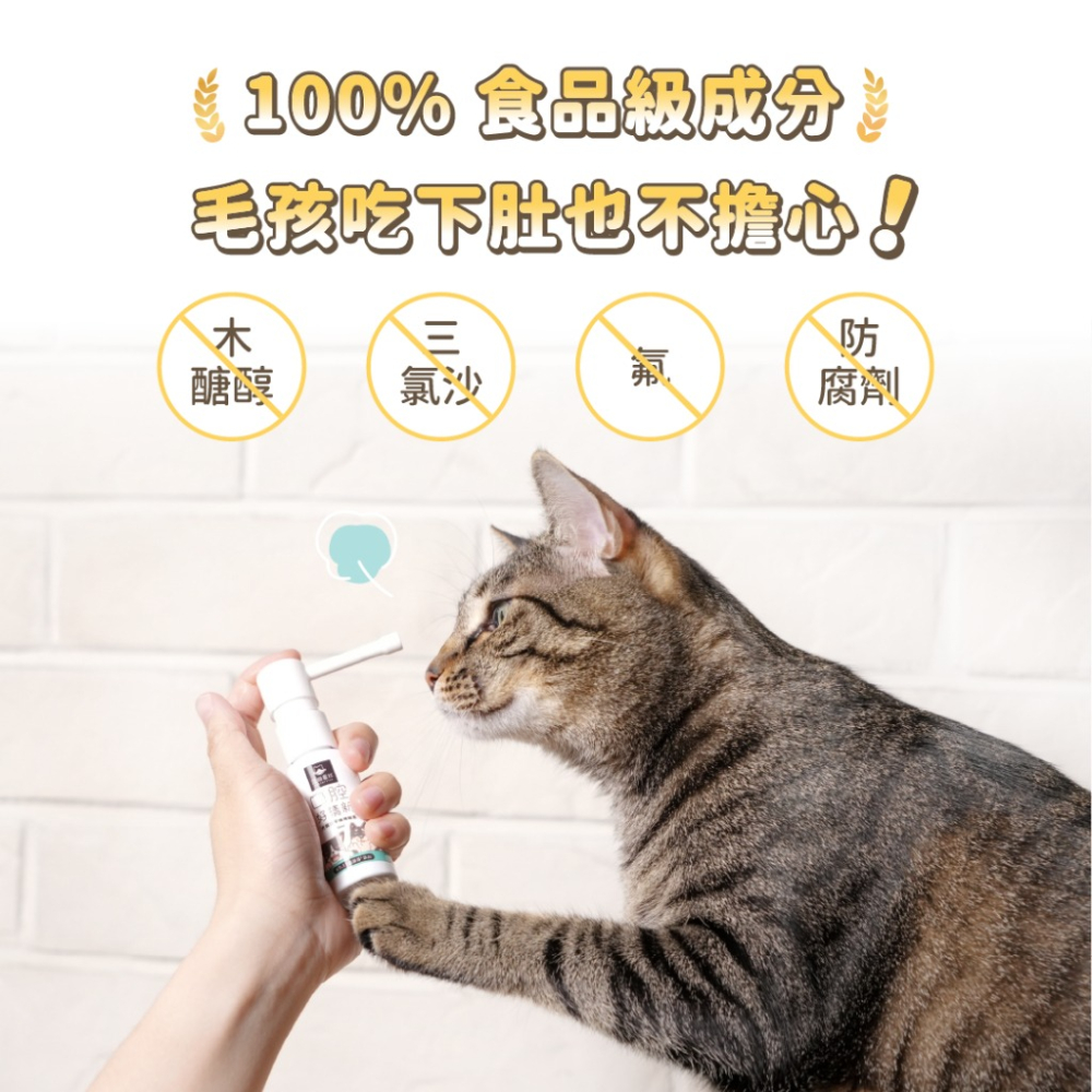 🐶GuoShi寵物🐱 汪喵星球 汪喵潔牙護理酵素 噴劑型 犬貓潔牙 潔牙噴霧 口腔噴霧 口腔好清新 貓潔牙-細節圖5