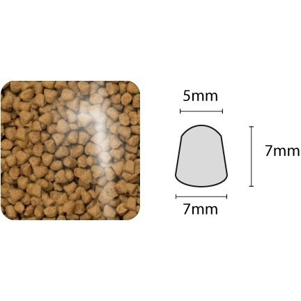 🐶GuoShi寵物🐱 烘焙客 狗飼料 犬用全系列 烘焙客狗飼料 天然糧 狗糧 低溫烘焙-細節圖5