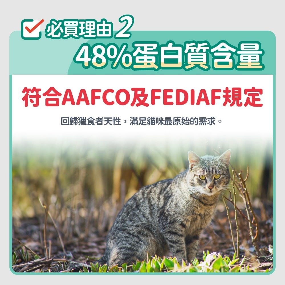 🐶GuoShi寵物🐱毛孩時代 貓飼料 85%鮮雞肉無穀全貓糧 80%鮮魚肉無穀全貓糧1.5kg 毛孩時代飼料 貓糧-細節圖5