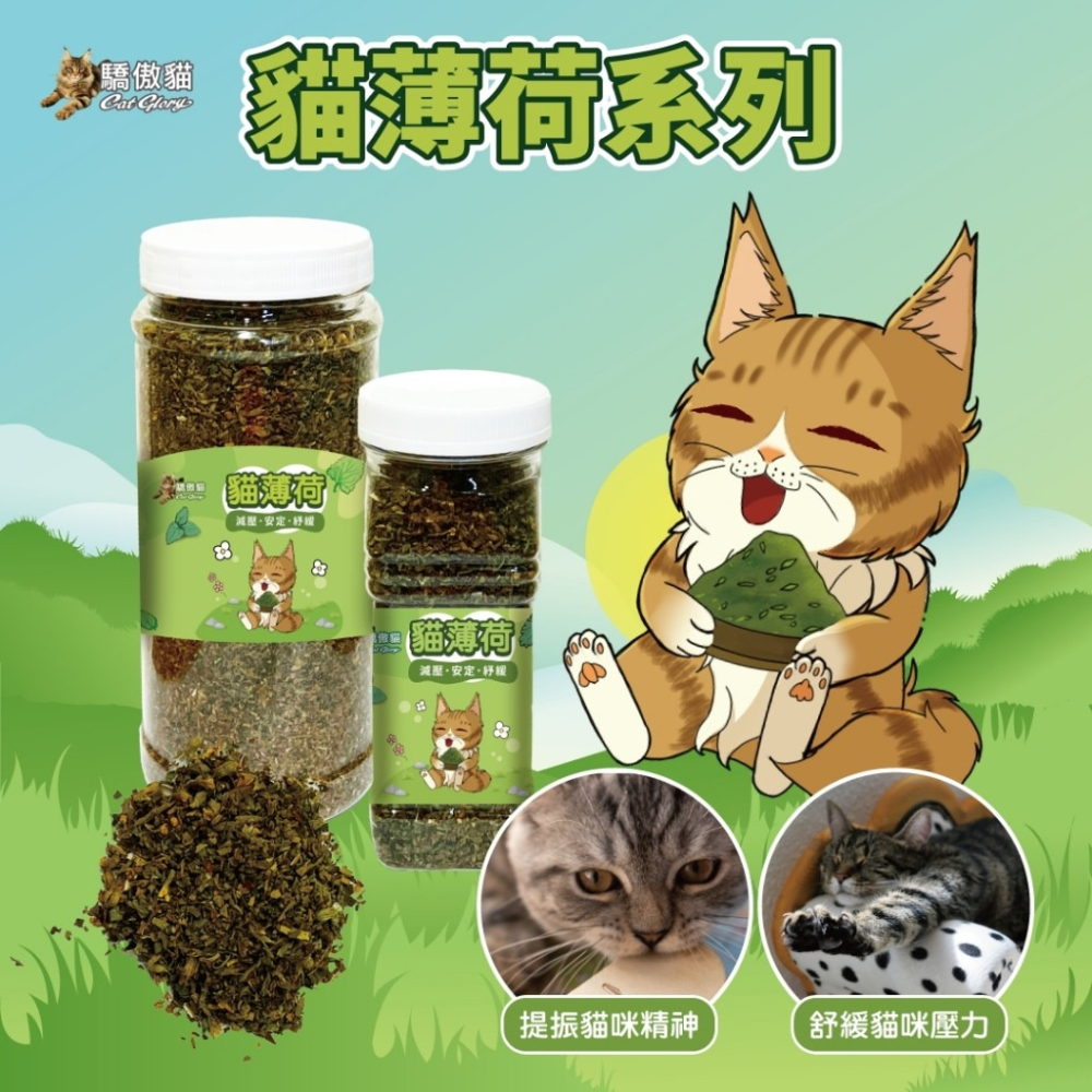 🐶GuoShi寵物🐱 驕傲貓 貓薄荷 木天蓼枝 蟲癭果木天蓼枝 極細貓薄荷葉 蟲癭果 貓紓壓 貓磨牙 貓零食-細節圖2