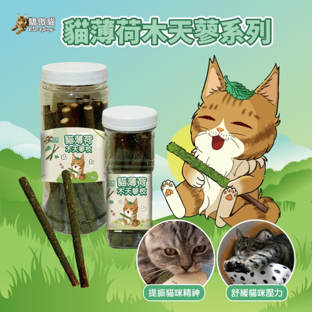 🐶GuoShi寵物🐱 驕傲貓 貓薄荷 木天蓼枝 蟲癭果木天蓼枝 極細貓薄荷葉 蟲癭果 貓紓壓 貓磨牙 貓零食-細節圖3