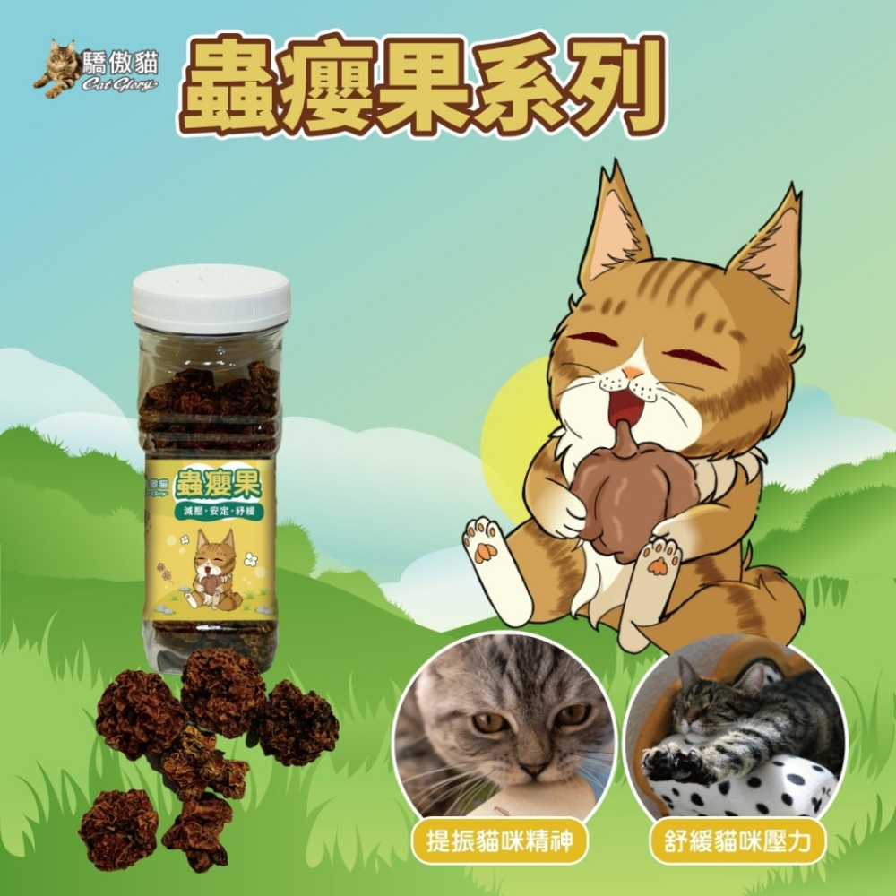 🐶GuoShi寵物🐱 驕傲貓 貓薄荷 木天蓼枝 蟲癭果木天蓼枝 極細貓薄荷葉 蟲癭果 貓紓壓 貓磨牙 貓零食-細節圖4