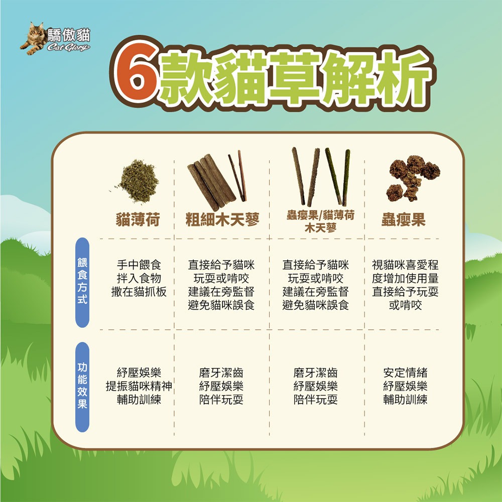 🐶GuoShi寵物🐱 驕傲貓 貓薄荷 木天蓼枝 蟲癭果木天蓼枝 極細貓薄荷葉 蟲癭果 貓紓壓 貓磨牙 貓零食-細節圖6
