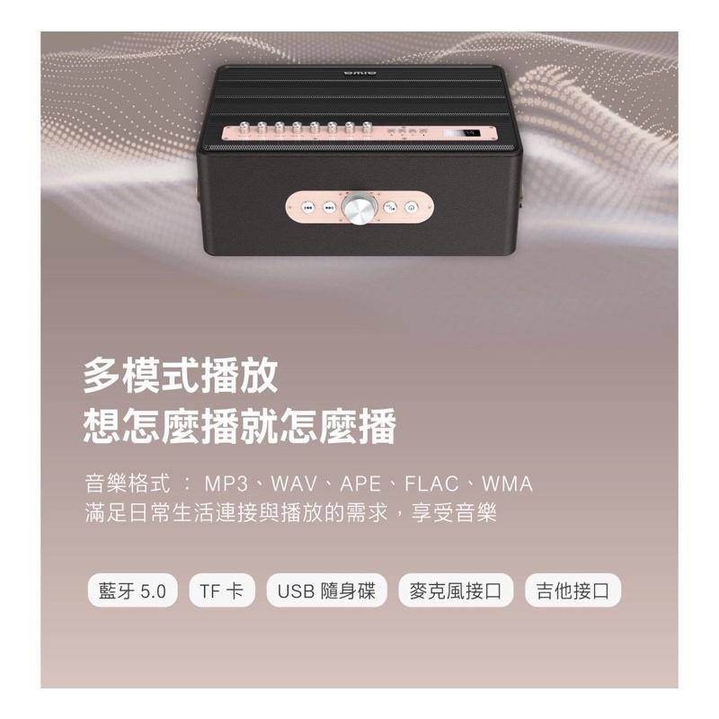 現貨‼️ AIWA 愛華 藍牙喇叭 MI-X450 Pro ENIGMA 吉他音箱-細節圖7