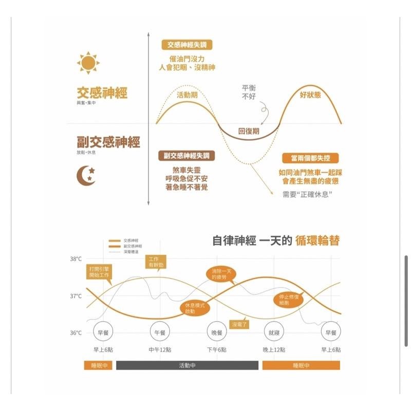 現貨‼️VENEX 輕呼吸長袖上衣男生 (日本製)-細節圖8