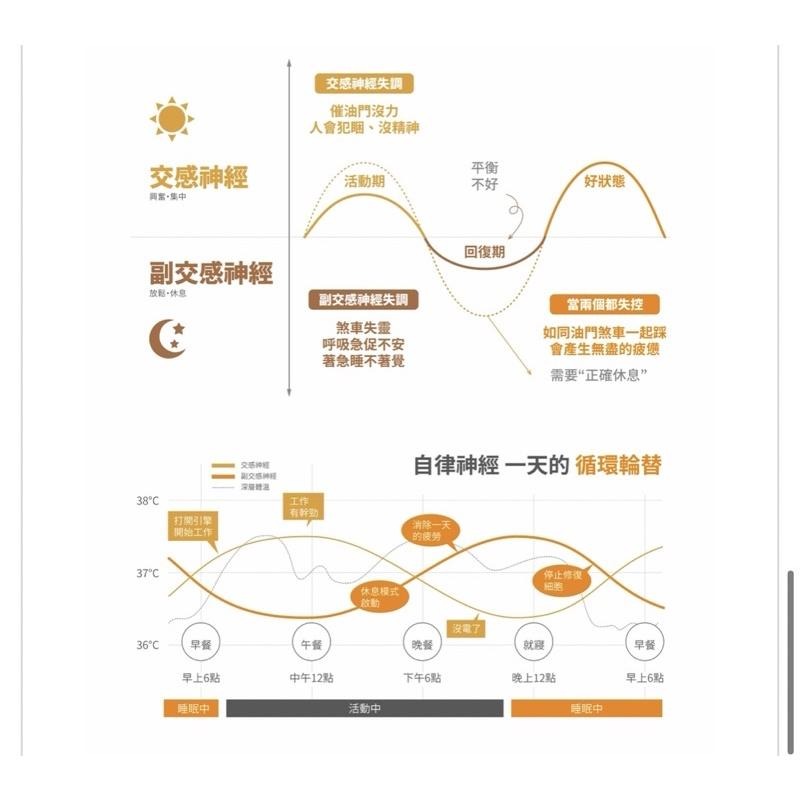 現貨‼️VENEX 輕呼吸長褲男生 (日本製)-細節圖7