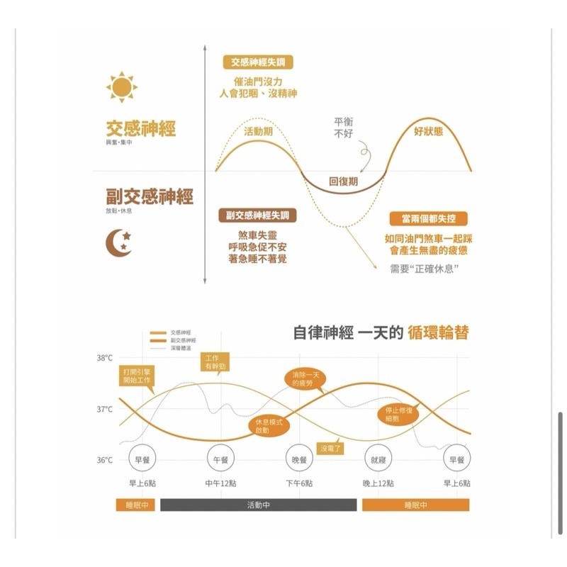 現貨‼️VENEX 快充系列長褲男生 (日本製)-細節圖8