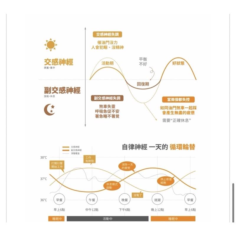 現貨免運‼️VENEX 輕呼吸女生長袖上衣 (日本製)休養披肩/奈米白金纖維/平衡副交感神經/消除疲勞/放鬆深層肌肉-細節圖8