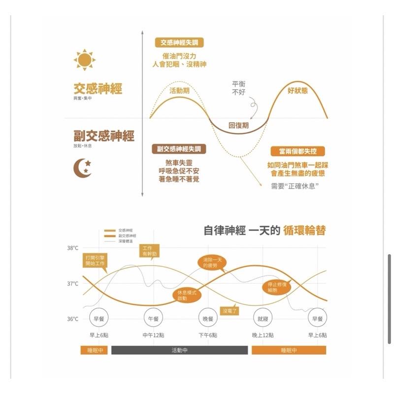 現貨免運‼️VENEX 輕呼吸女生八分褲 (日本製)休養披肩/奈米白金纖維/平衡副交感神經/消除疲勞/放鬆深層肌肉-細節圖8