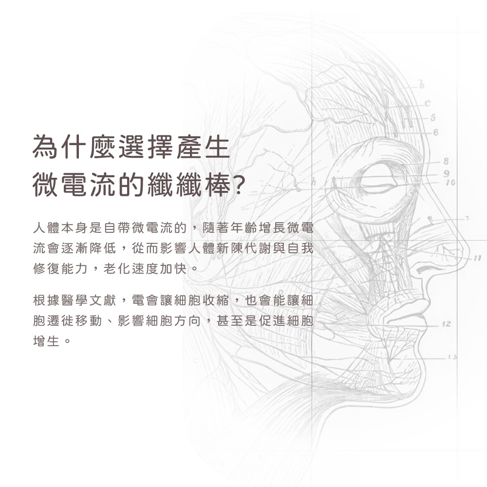 現貨‼️ nueva Volta™ body 纖纖棒 - 白金纖體儀-細節圖2