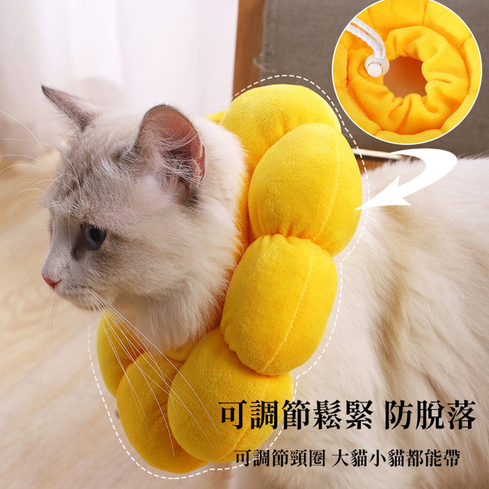 【喵的咧選物】太陽花防舔圈 頭套 羞恥圈 防舔頭套 貓頭套 寵物防舔【台灣現貨】-細節圖3