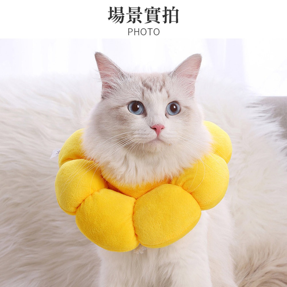【喵的咧選物】太陽花防舔圈 頭套 羞恥圈 防舔頭套 貓頭套 寵物防舔【台灣現貨】-細節圖5