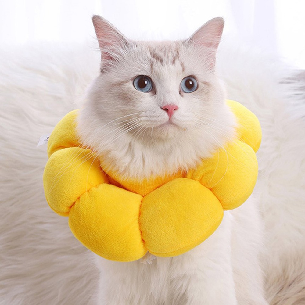 【喵的咧選物】太陽花防舔圈 頭套 羞恥圈 防舔頭套 貓頭套 寵物防舔【台灣現貨】-細節圖7