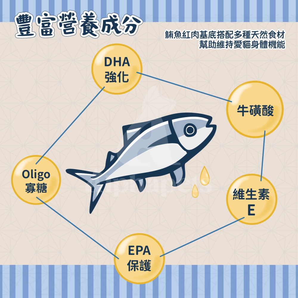 【喵的咧選物】鮪魚將軍 170g 貓罐 貓湯罐 罐罐 貓副食罐 鮪魚貓湯罐 雞肉貓罐頭 大罐 肉加倍扎實【現貨-細節圖6