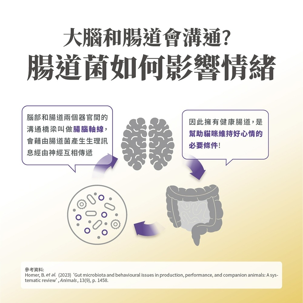 毛掌醫學 貓咪情緒穩定 舒壓益生菌 50g 貓咪保健 紓壓 減壓-細節圖8