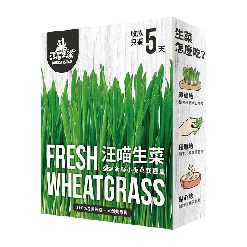 【喵的咧選物】貓草新鮮栽培盒 汪喵生菜 小麥草盒 化毛 補充天然維生素-規格圖1