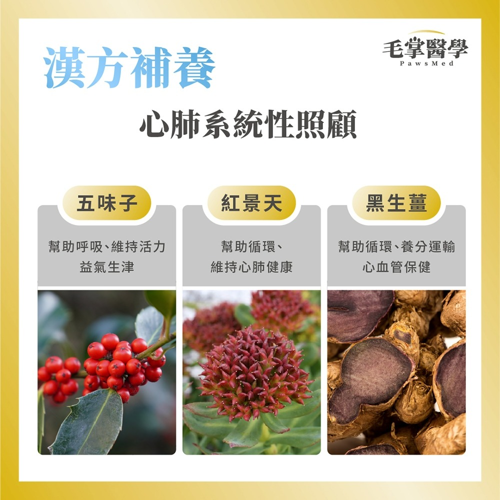 毛掌醫學 貓咪呼吸道保養 氣管保養粉 50g 氣喘保養-細節圖8