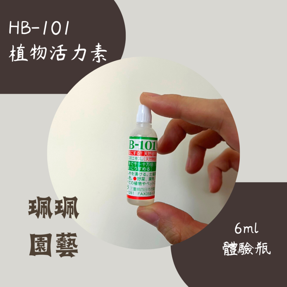 珮珮園藝 / HB101現貨 / 日本原裝 /植物活力液 / 活力素 / 提升植物抗性 / HB-101-細節圖2