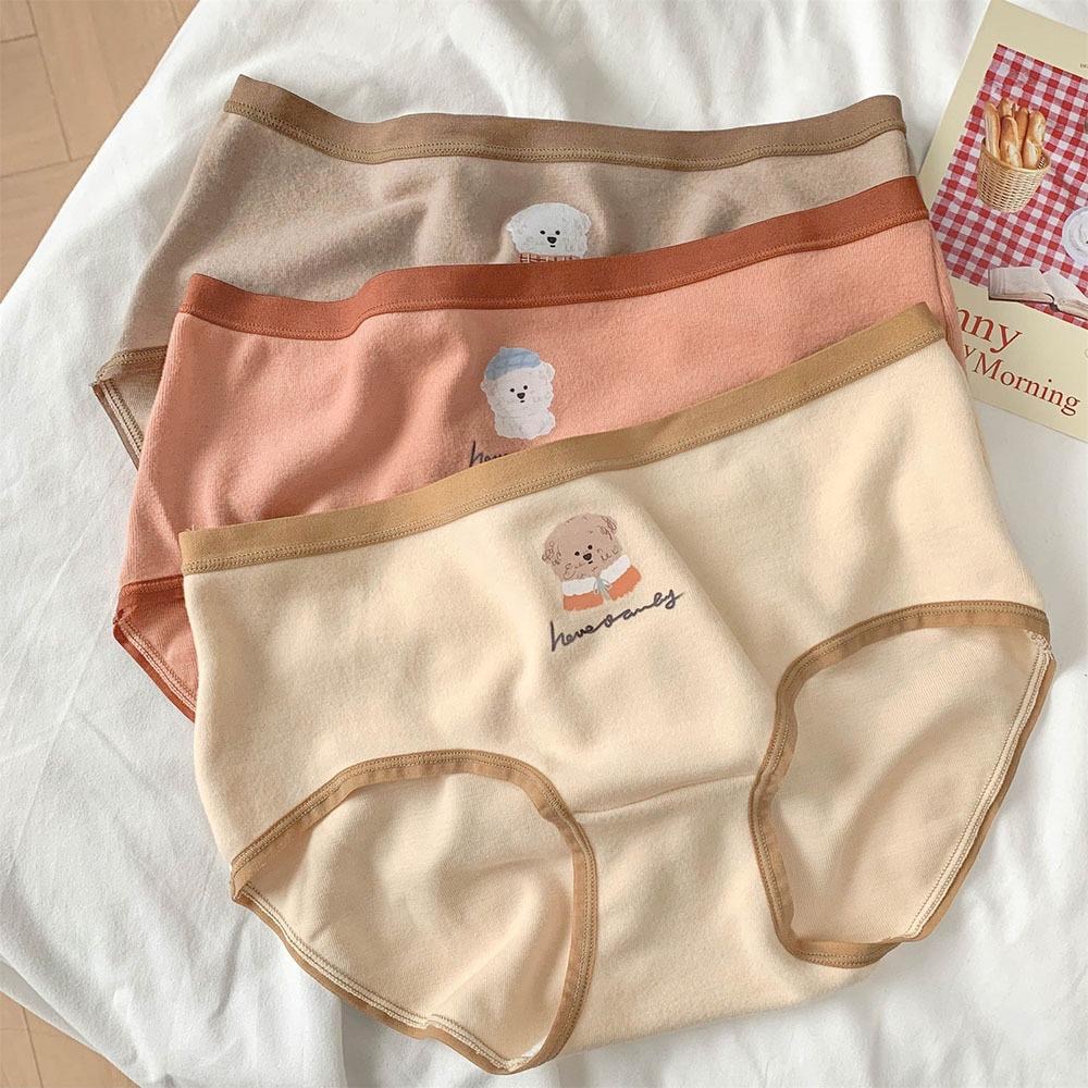 AHUA阿華有事嗎 韓系內著 德絨可愛比熊中腰內褲 單入I0066  可愛 女內褲 流行少女內褲-細節圖7
