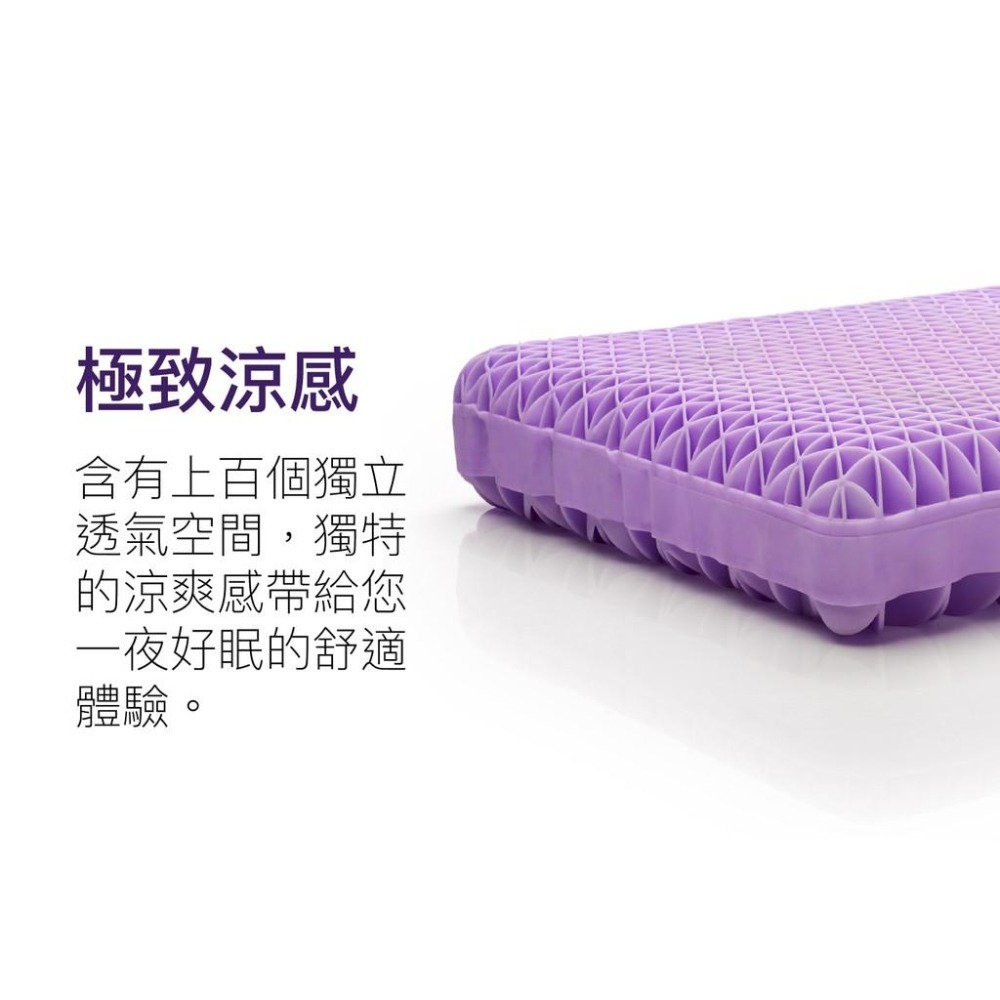 Purple｜ 枕頭 + 背墊 組合包-細節圖4