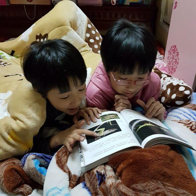 【♥ 薇樂園】二手 | 一字一卡，針對幼兒專注力差、易分心獨門設計，改善幼兒專注認知有顯著效果！創意手提識字卡 絕版-細節圖4