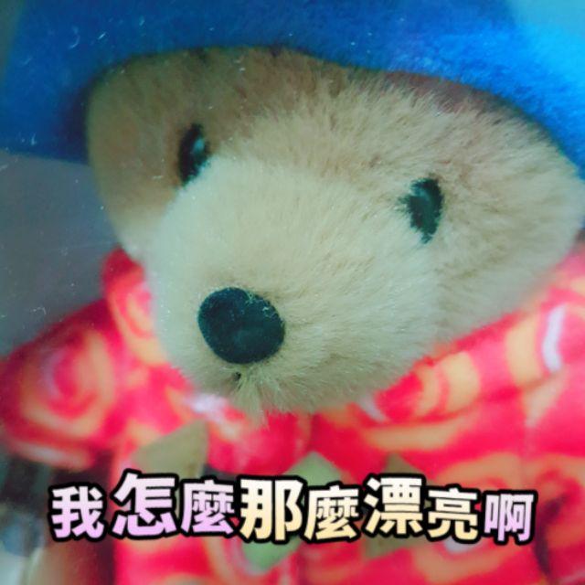 薇樂園 🐻🐻柏林頓寶寶熊公仔 20公分高-細節圖2