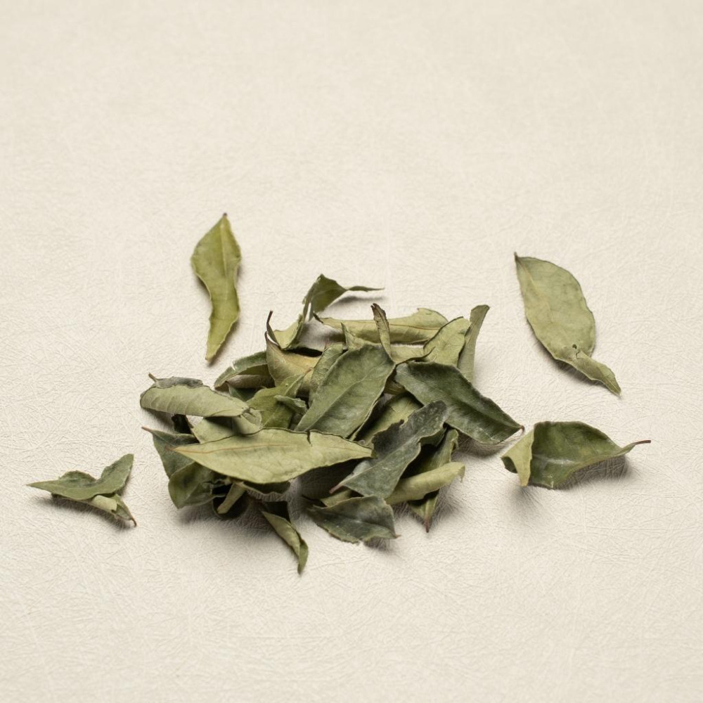 咖哩葉【天然養生小舖】香料 spices-細節圖8
