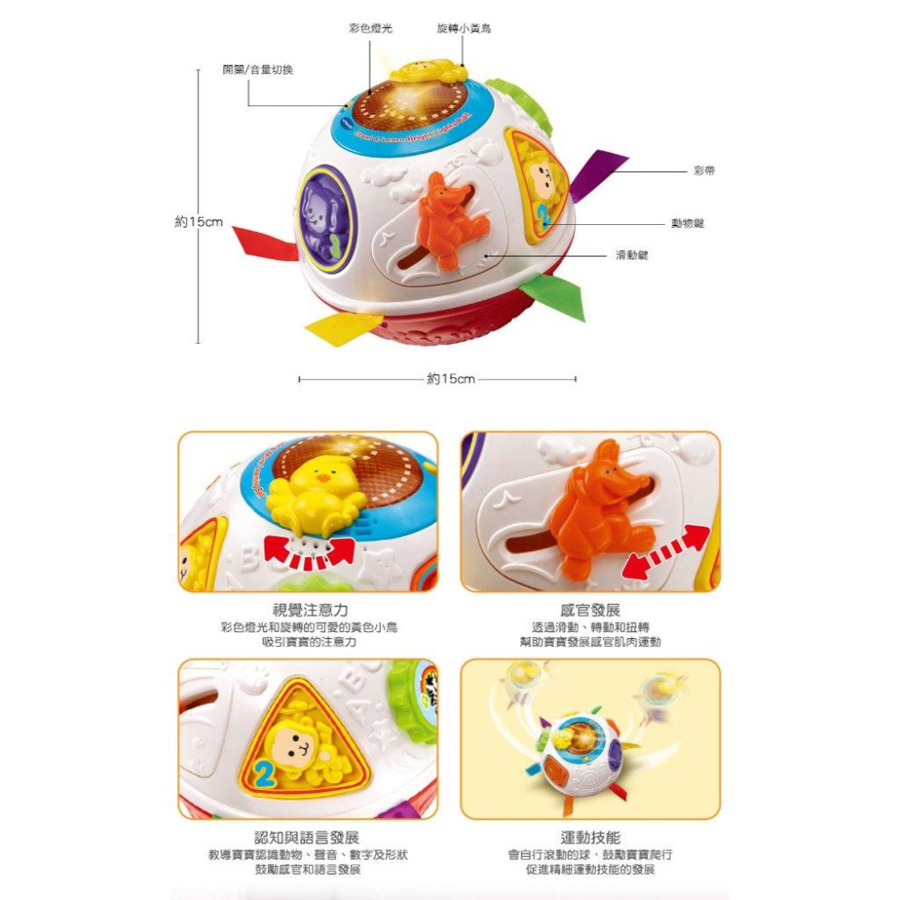 英國【Vtech】炫彩聲光滾滾球 動物派對聲光滾滾球 橘色 粉色 滾滾球 滾球玩具 轉轉球 學爬玩具 電動球 爬行 自動-細節圖8